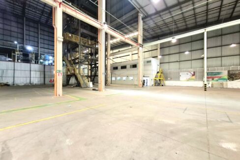 WhatsApp Image 2025-11-06 at 14.56.09