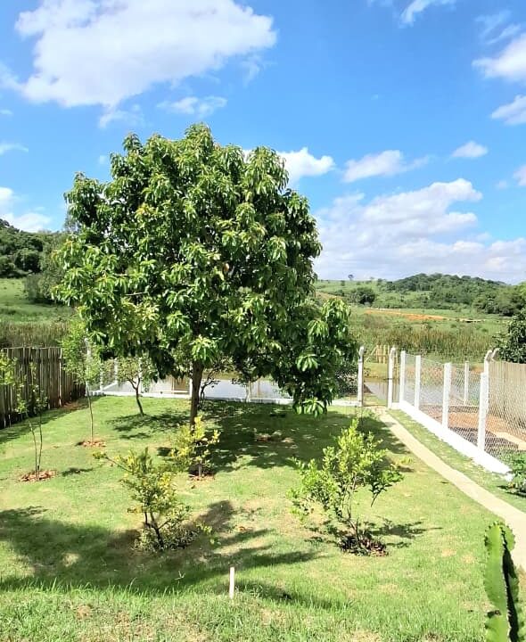 WhatsApp Image 2025-11-10 at 13.45.27