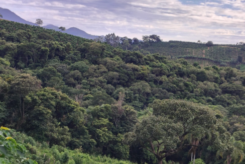 Captura de tela 2026-01-21 112637