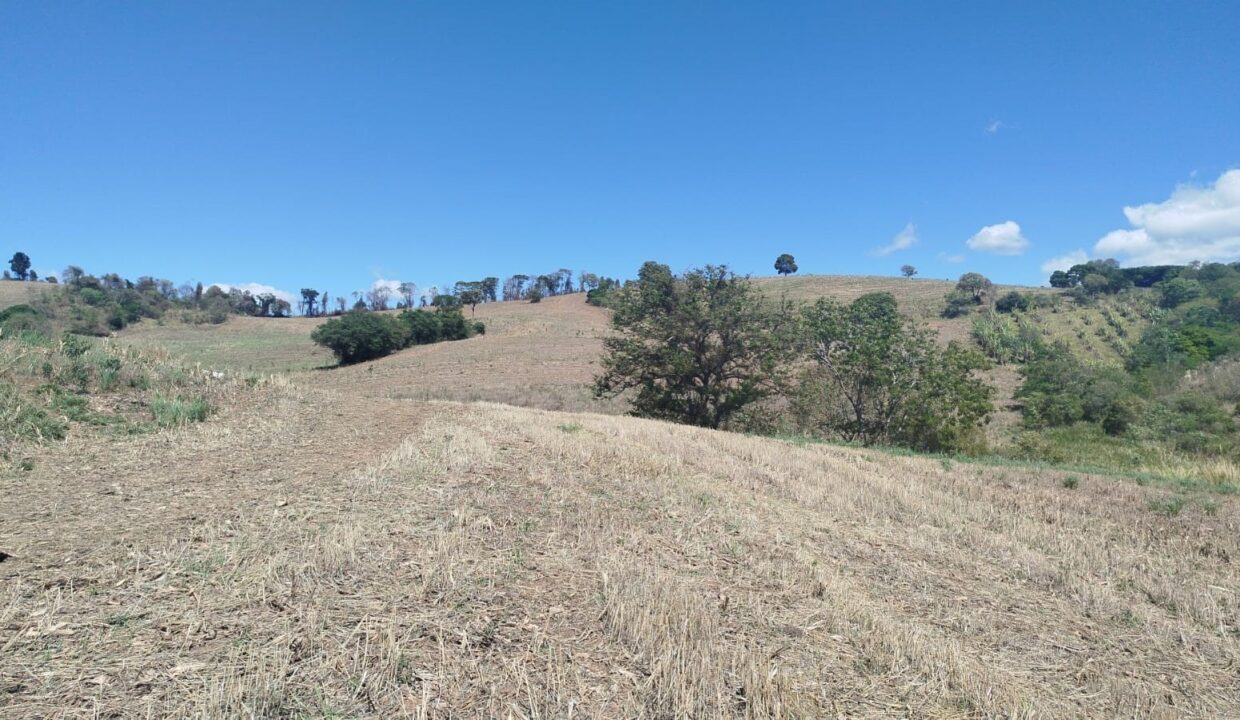 Watize Imagem 28_01_2026 as 14_49 (1)