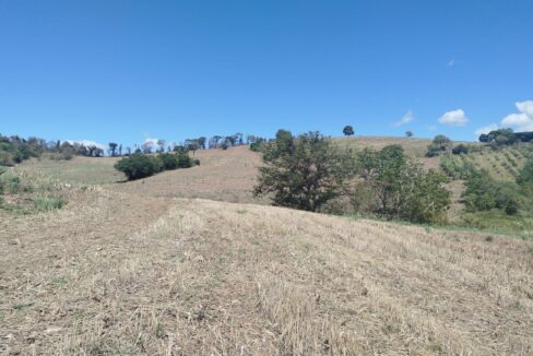 Watize Imagem 28_01_2026 as 14_49 (1)