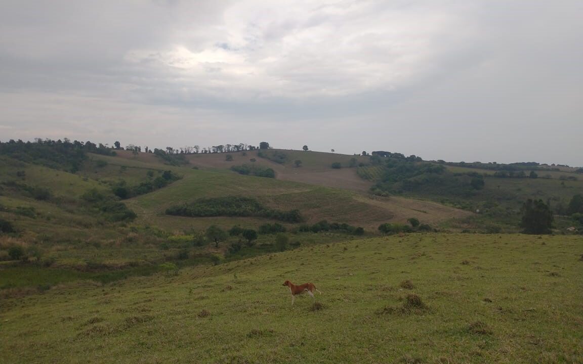 Watize Imagem 28_01_2026 as 14_49 (2)