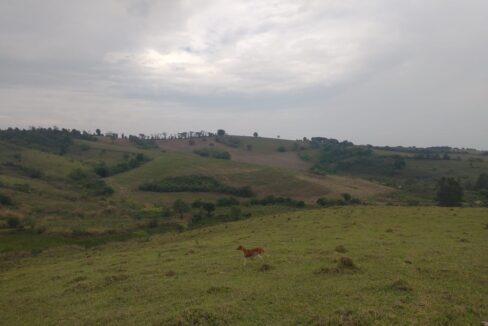 Watize Imagem 28_01_2026 as 14_49 (2)