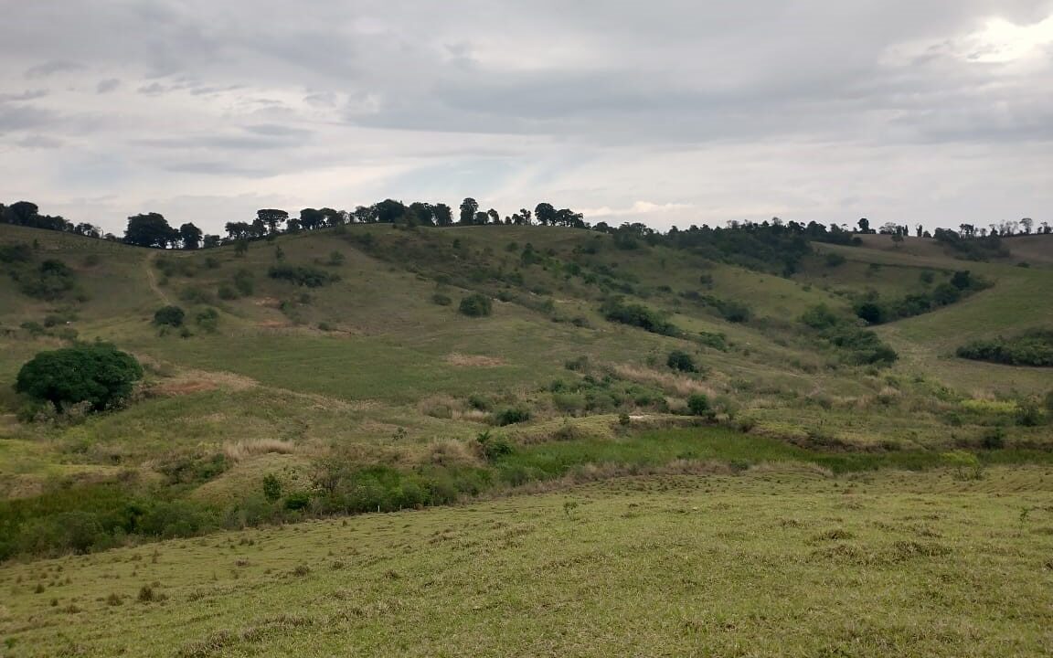 Watize Imagem 28_01_2026 as 14_49 (6)