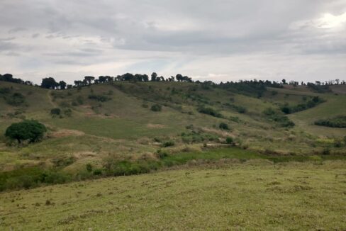 Watize Imagem 28_01_2026 as 14_49 (6)