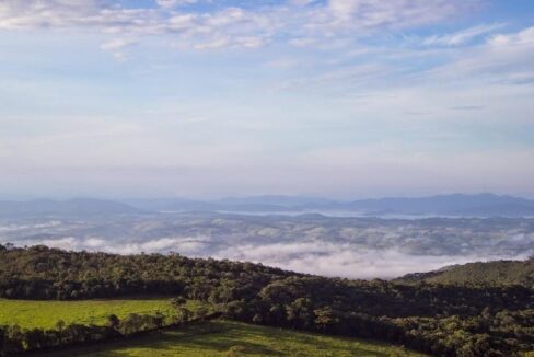 Watize Imagem 28_01_2026 as 14_49