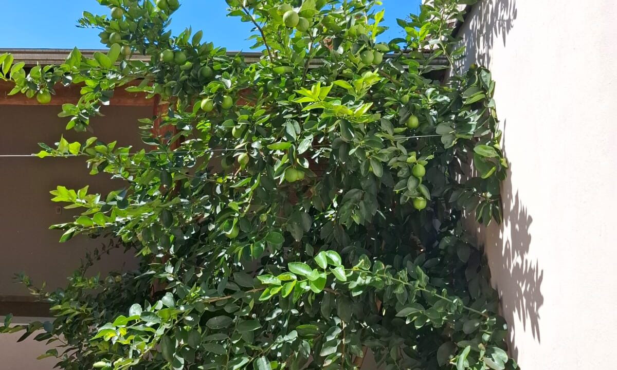 WhatsApp Image 2026-04-23 at 08.39.16 (1)