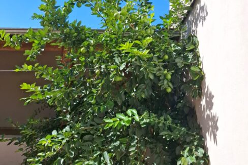 WhatsApp Image 2026-04-23 at 08.39.16 (1)