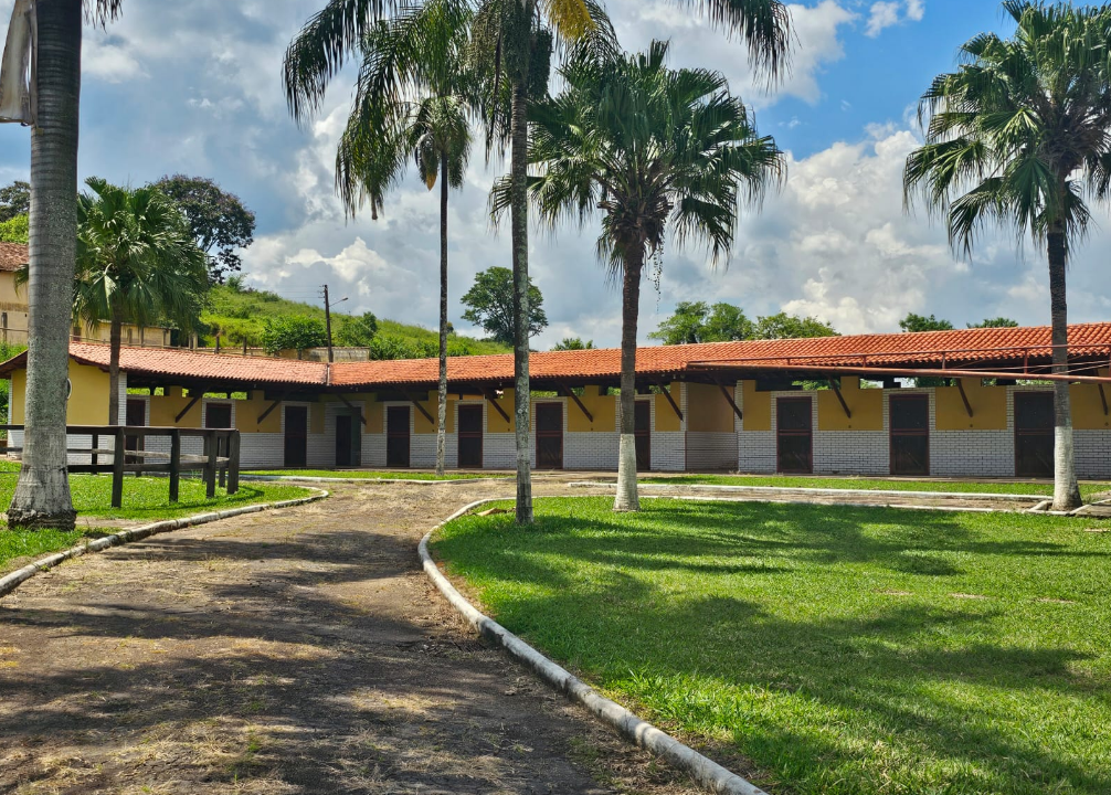 Captura de tela 2026-05-08 091250