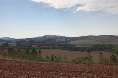 Captura de tela 2026-05-11 133242