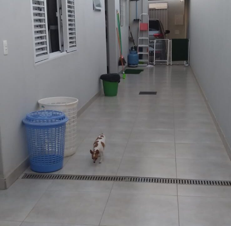 IMG-20260913-WA0041